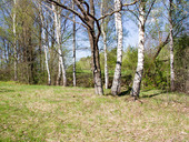 Thumb 1714982205 img 7065 20 1