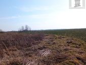 Thumb 67d01103805b7