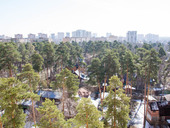 Thumb 198 img 8514