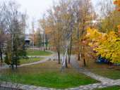 Thumb 239 img 9766